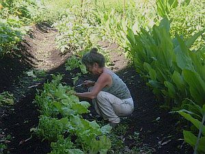Use Alexander Technique while gardening